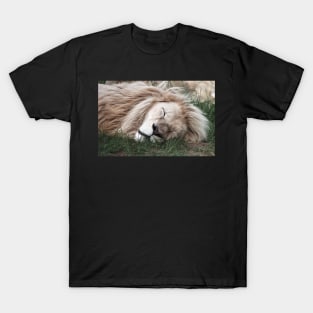 White Lion Sleeping T-Shirt